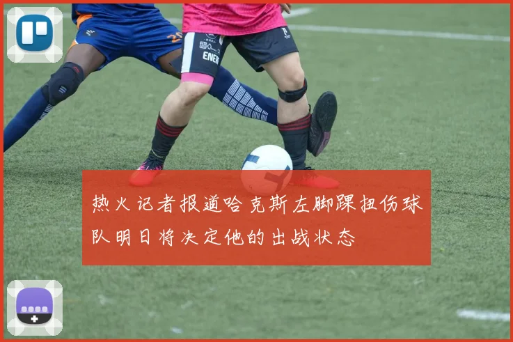 热火记者报道哈克斯左脚踝扭伤球队明日将决定他的出战状态