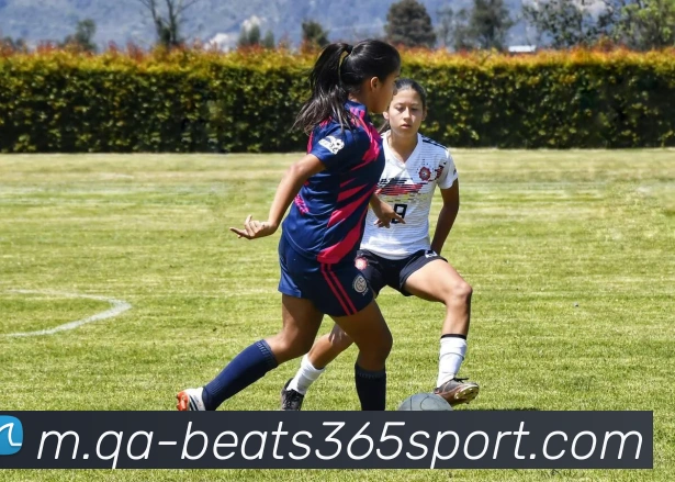 App Interface Preview